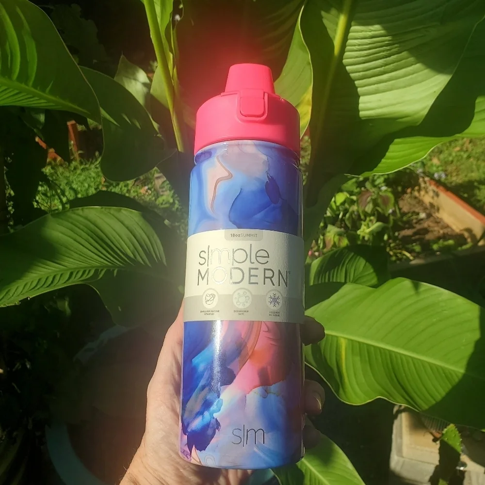 Simple Modern 18oz Insulated Stainless Steel Water Bottle Covered Silicone Straw